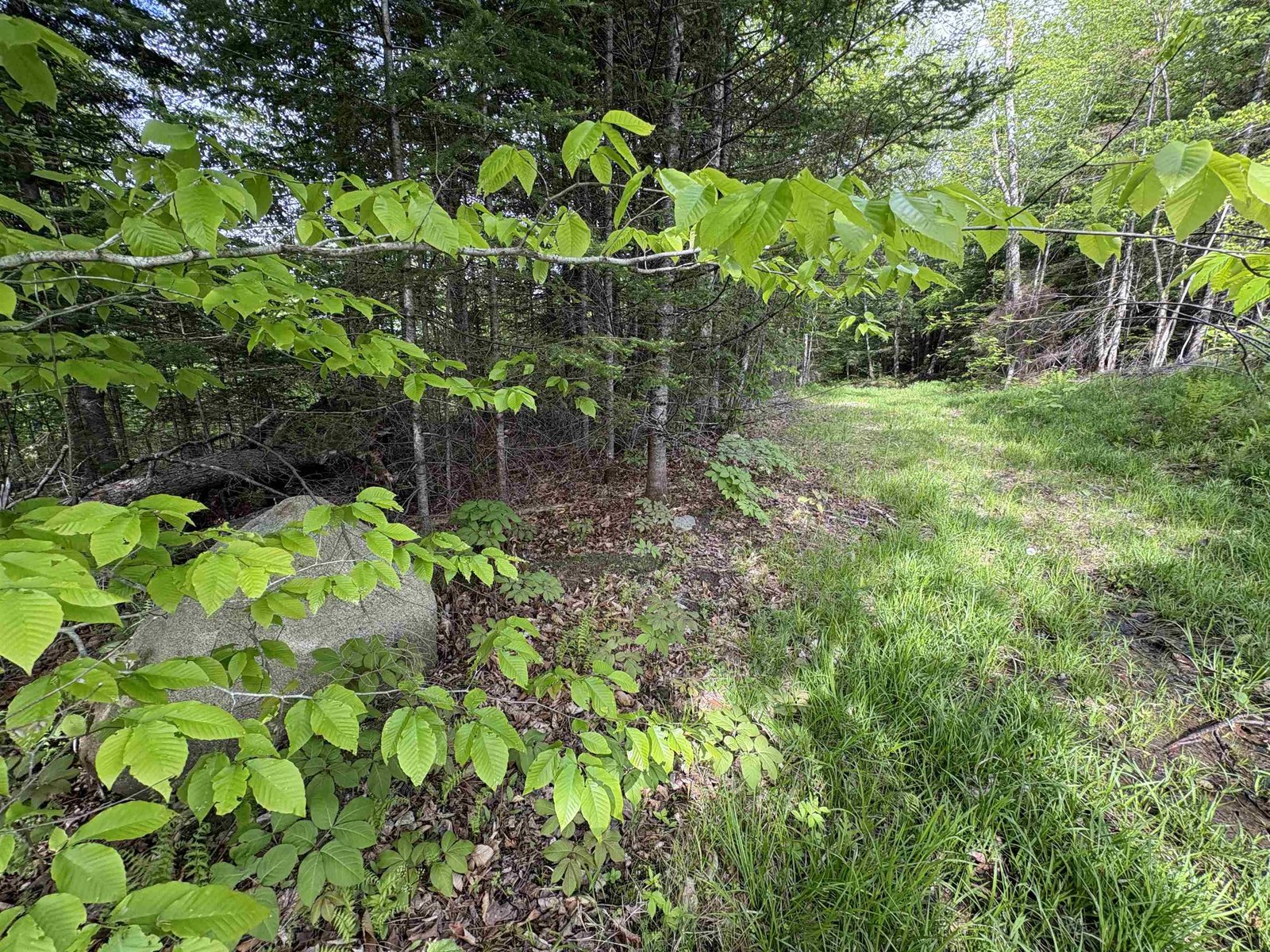 905 Peak Road