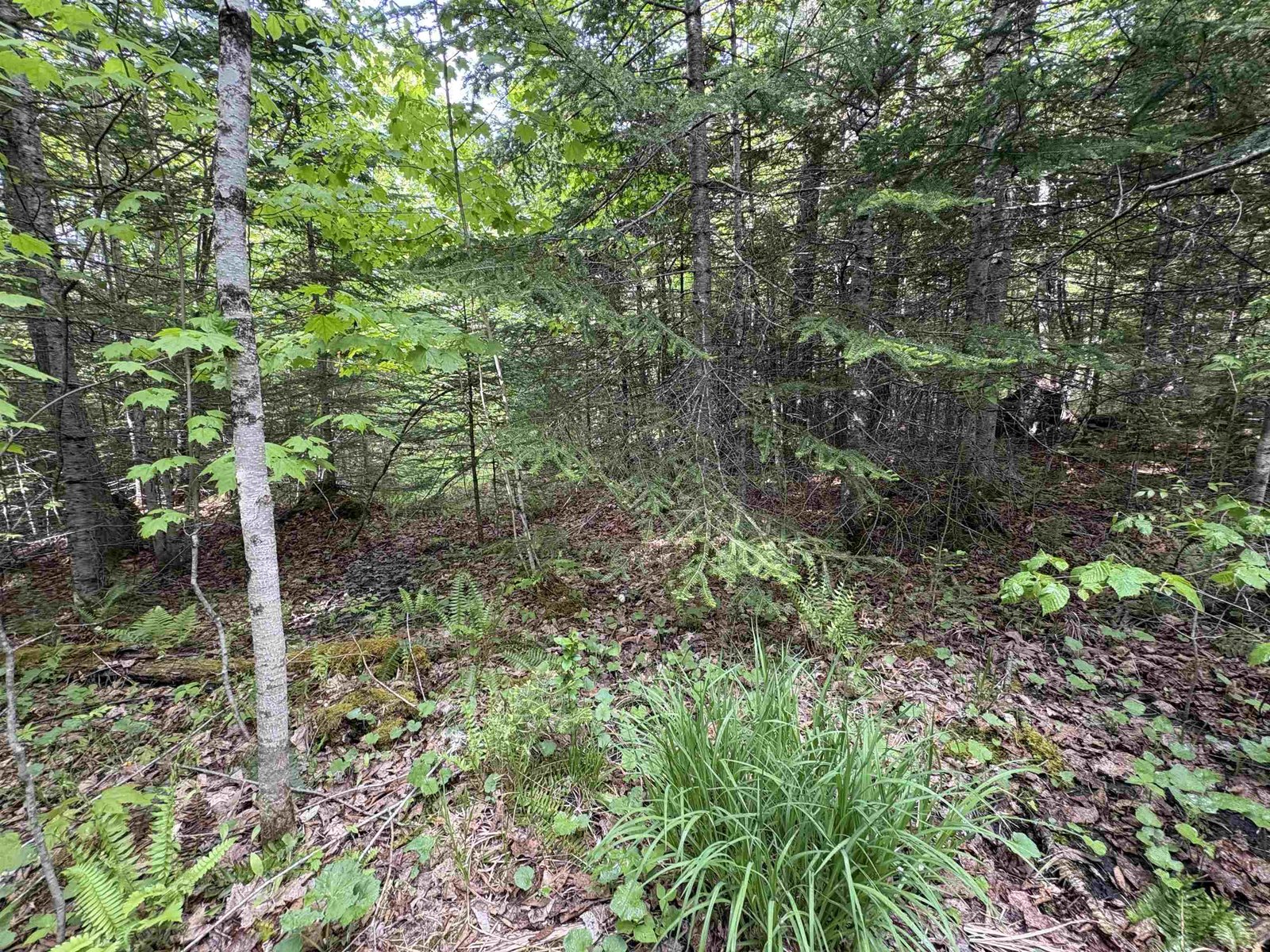 905 Peak Road