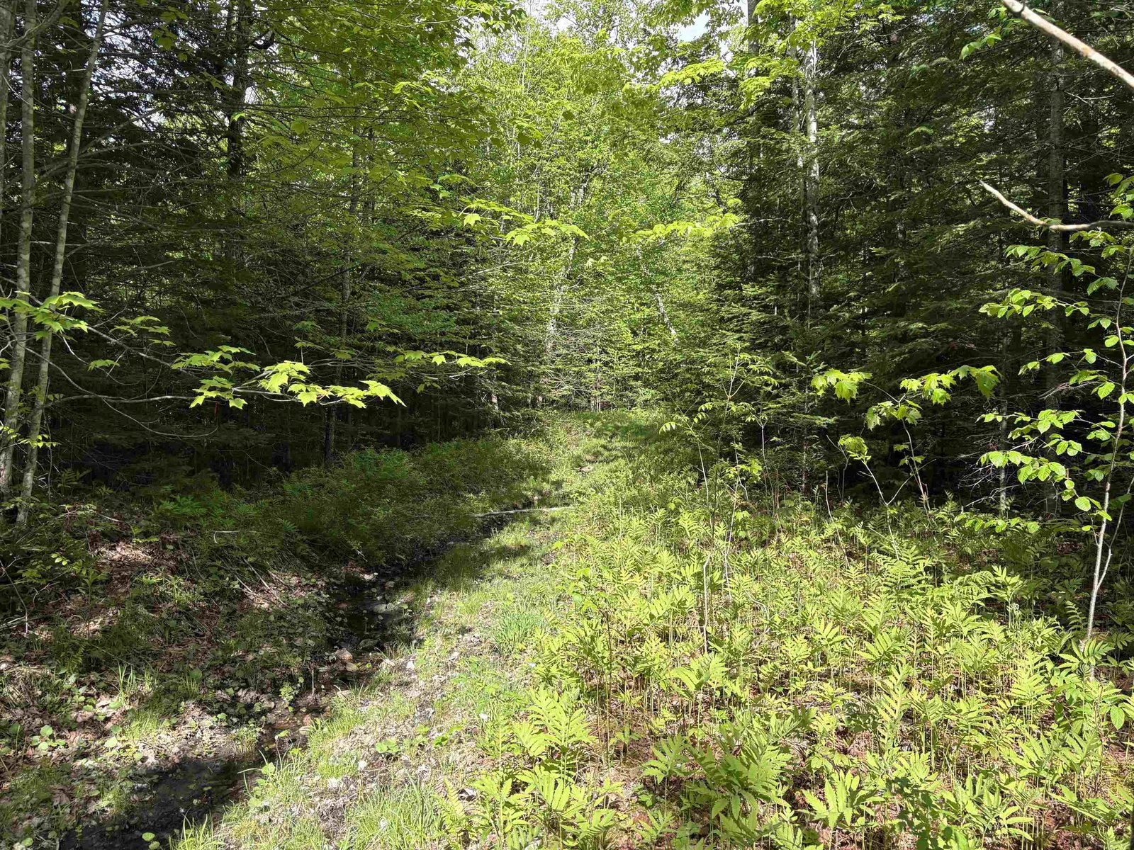905 Peak Road