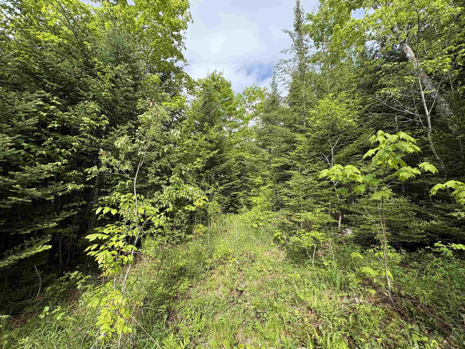 905 Peak Road
