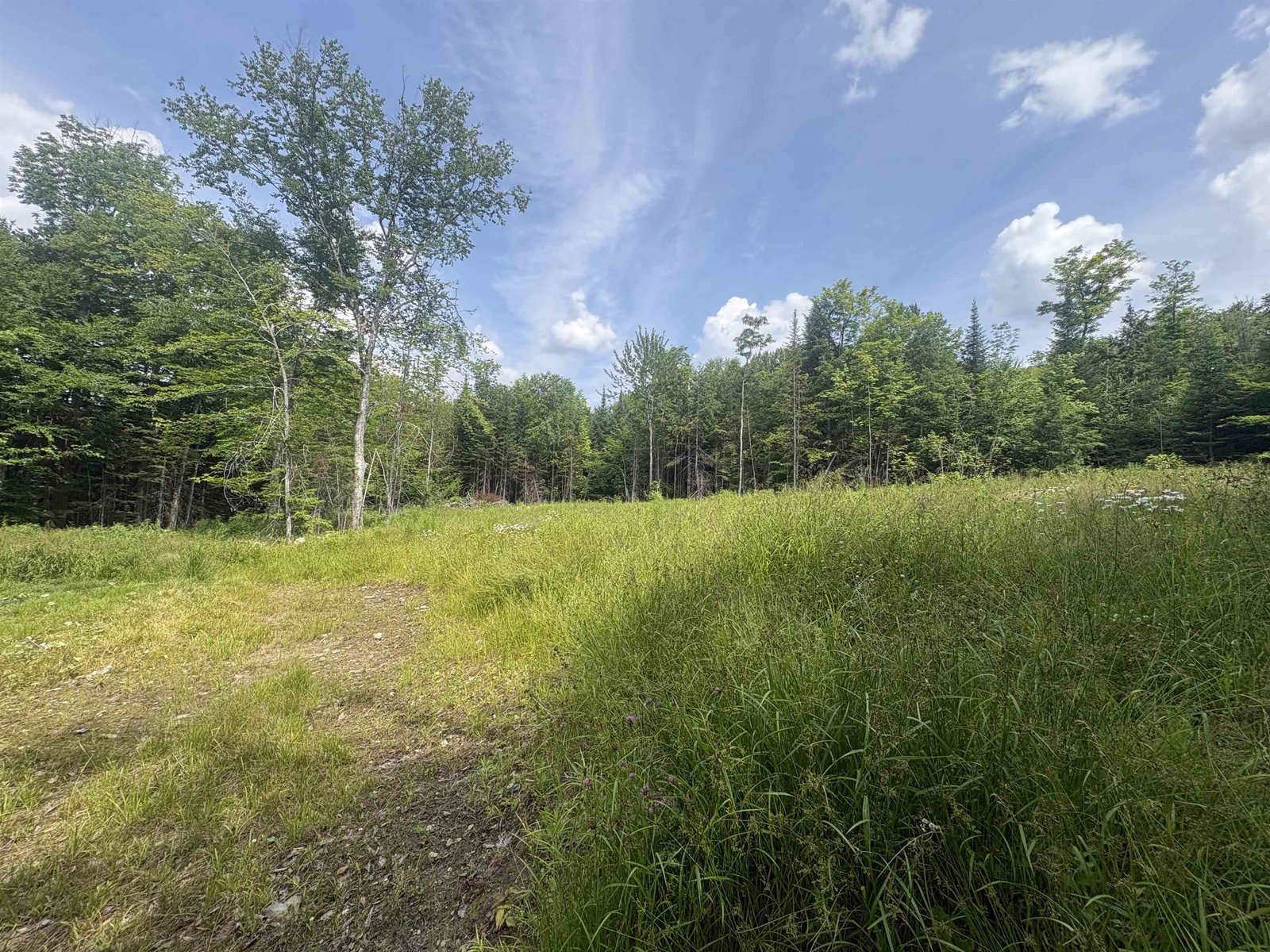 905 Peak Road