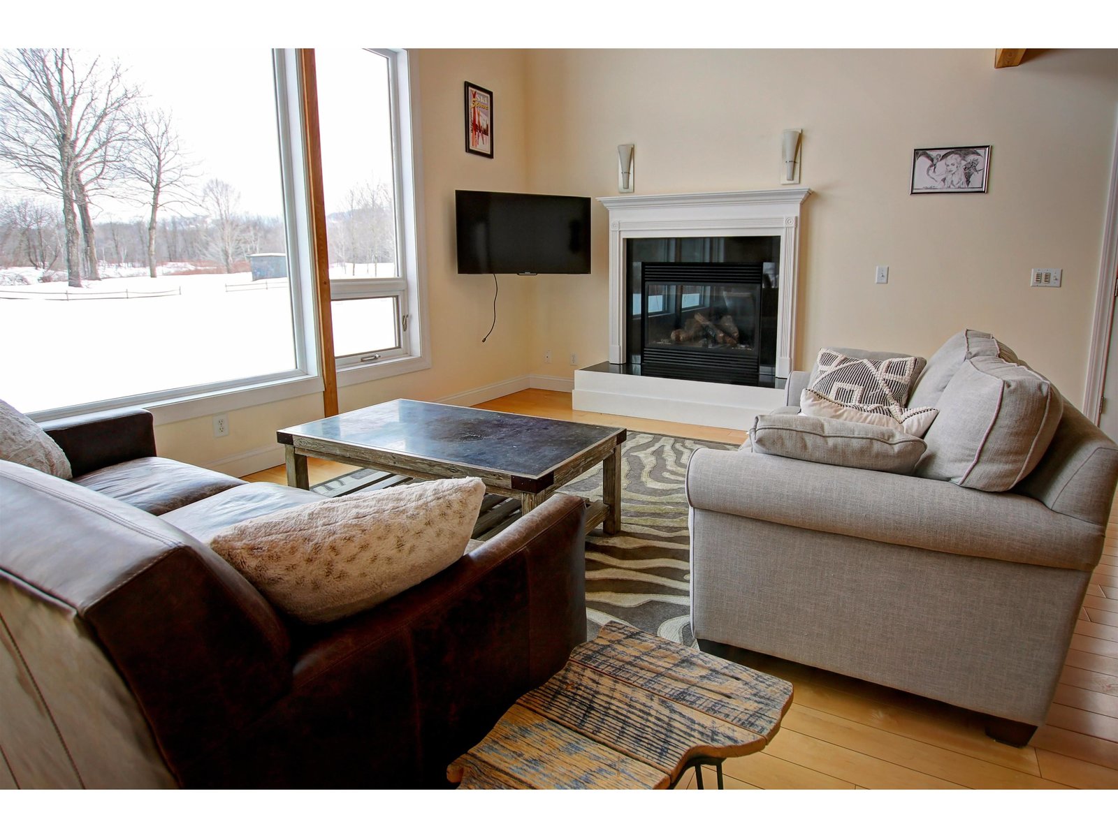 Living Room Area