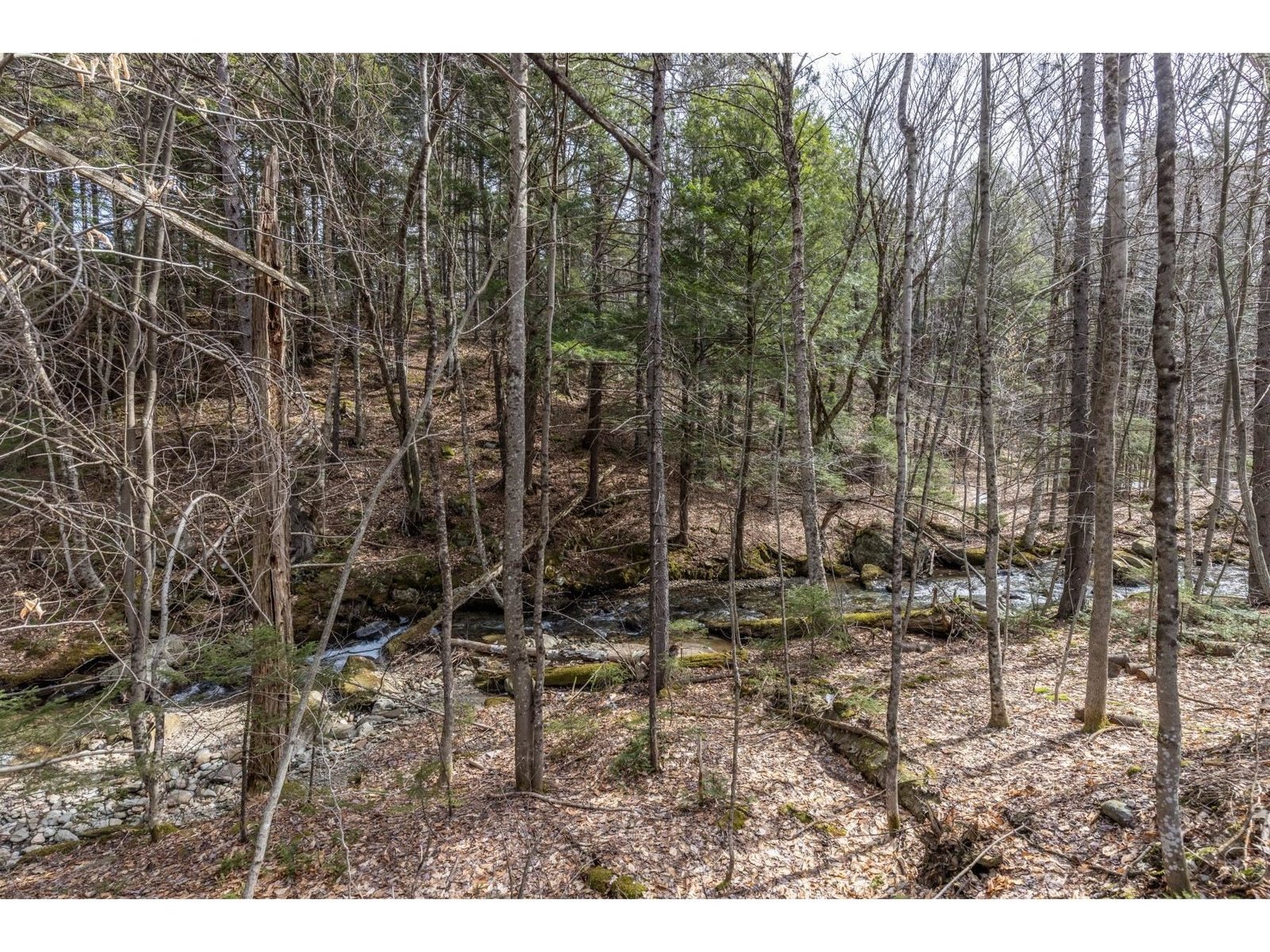 91 Manlin Road