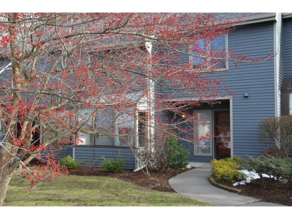 911 Dorset Street, Unit 33