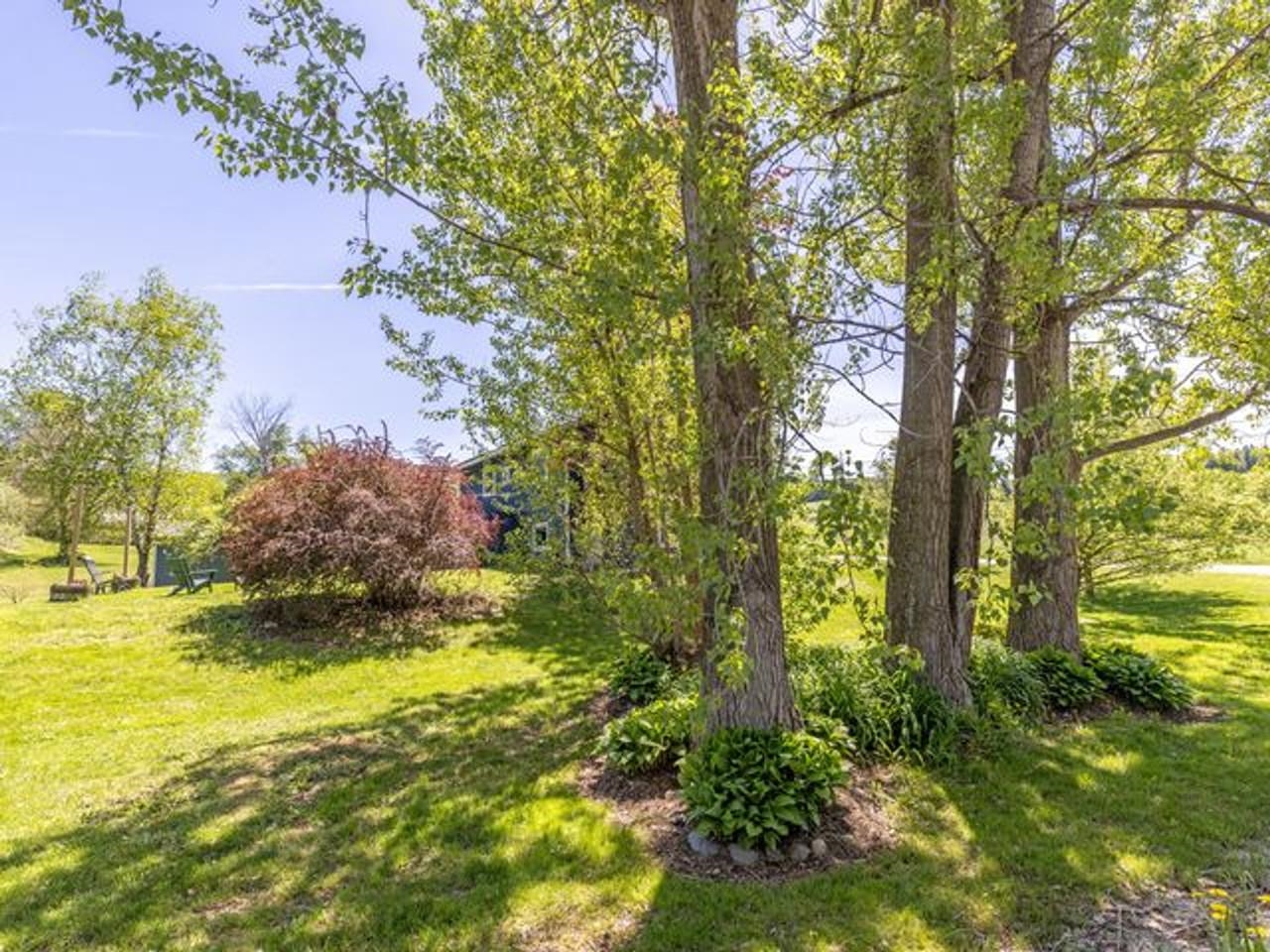 Shaded Yard with Mature Trees
