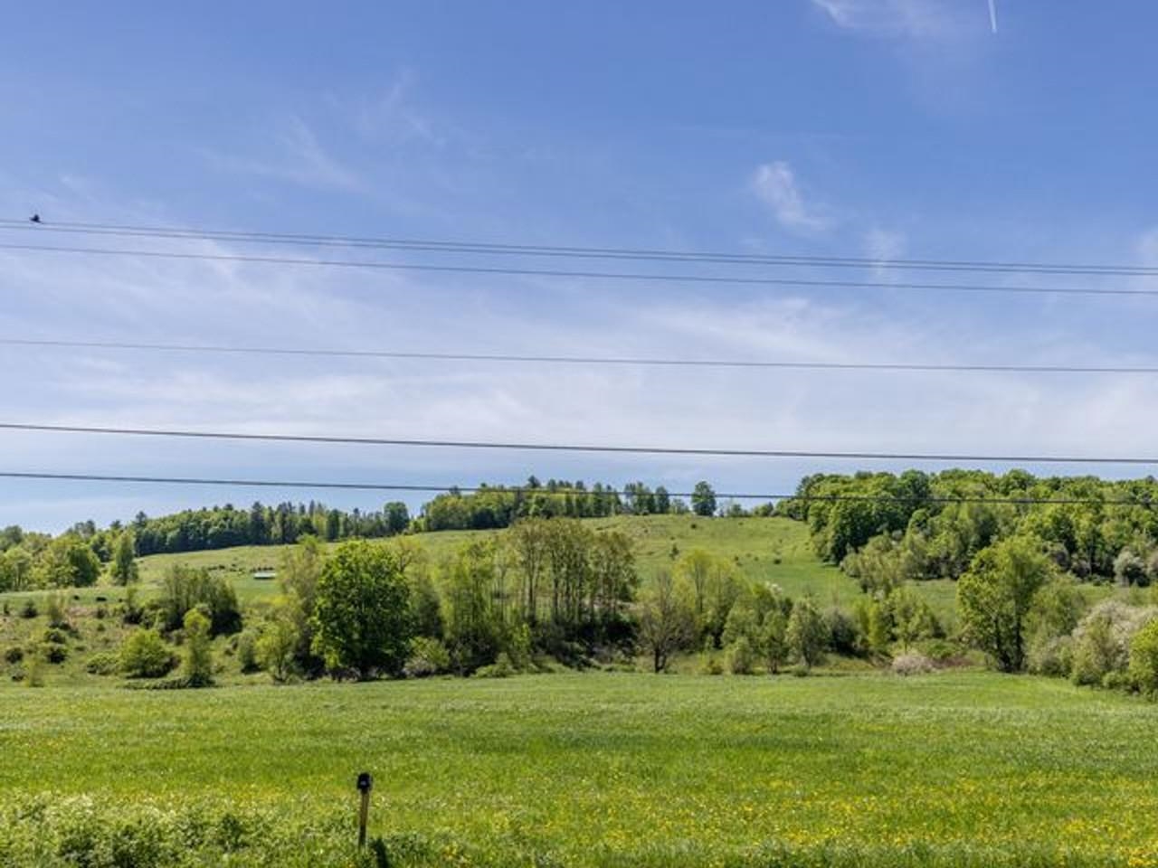 Bucolic Views of VT!