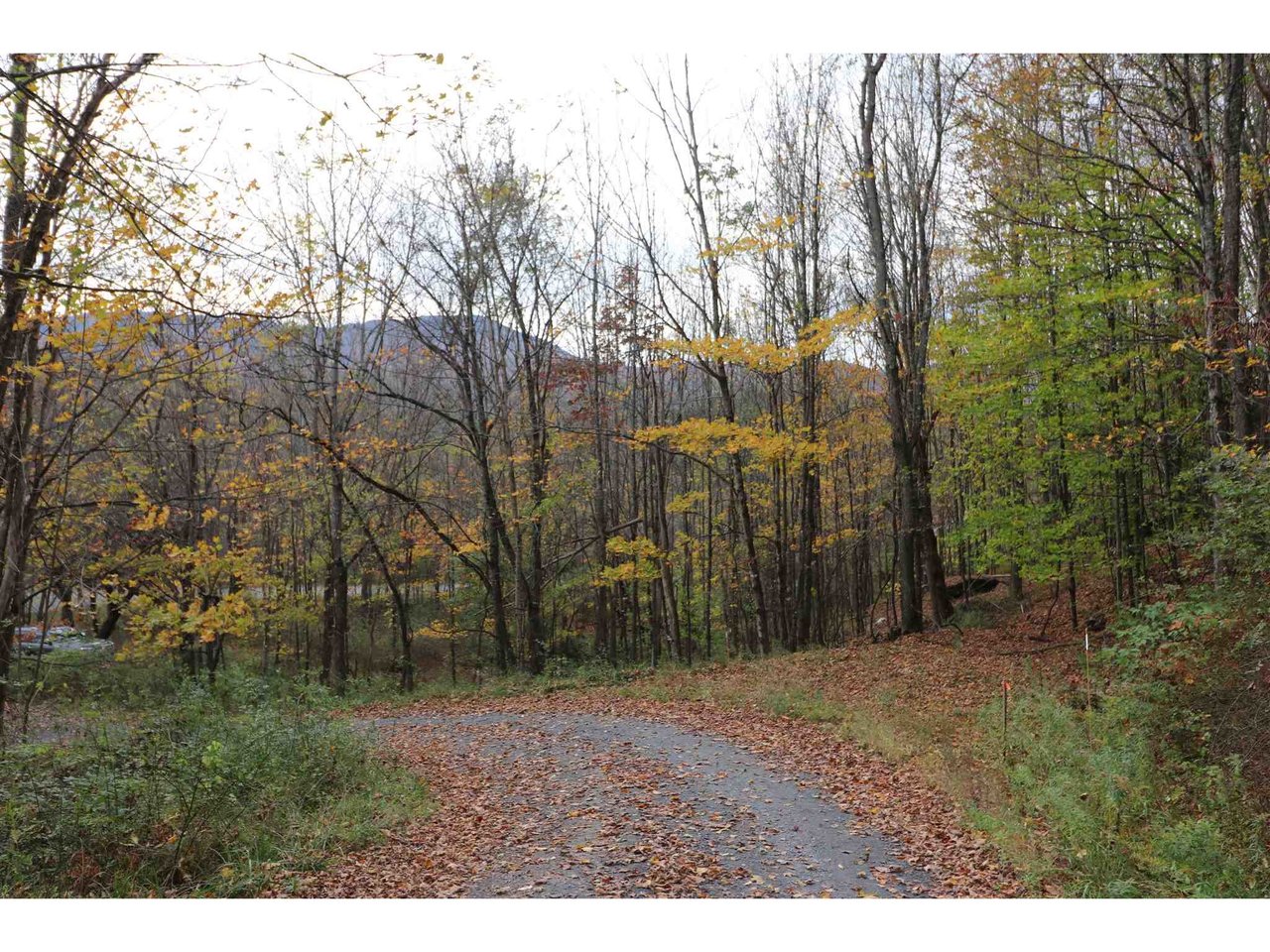 915 Freeman Hill Road