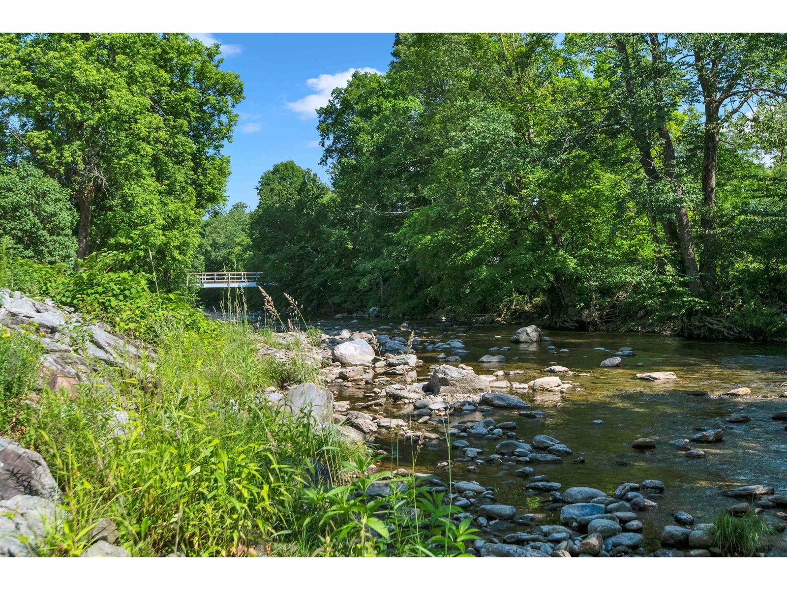 Trout River Frontage