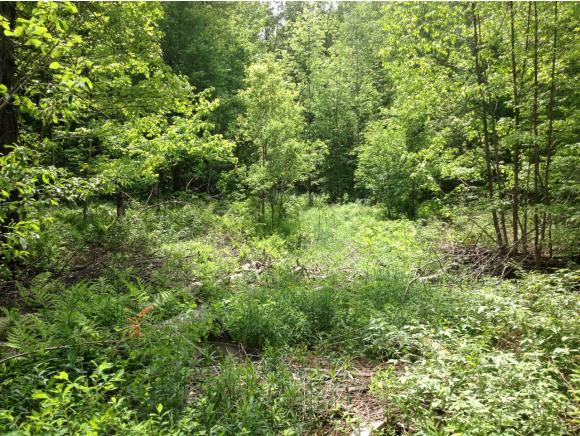 926 Codding Hollow