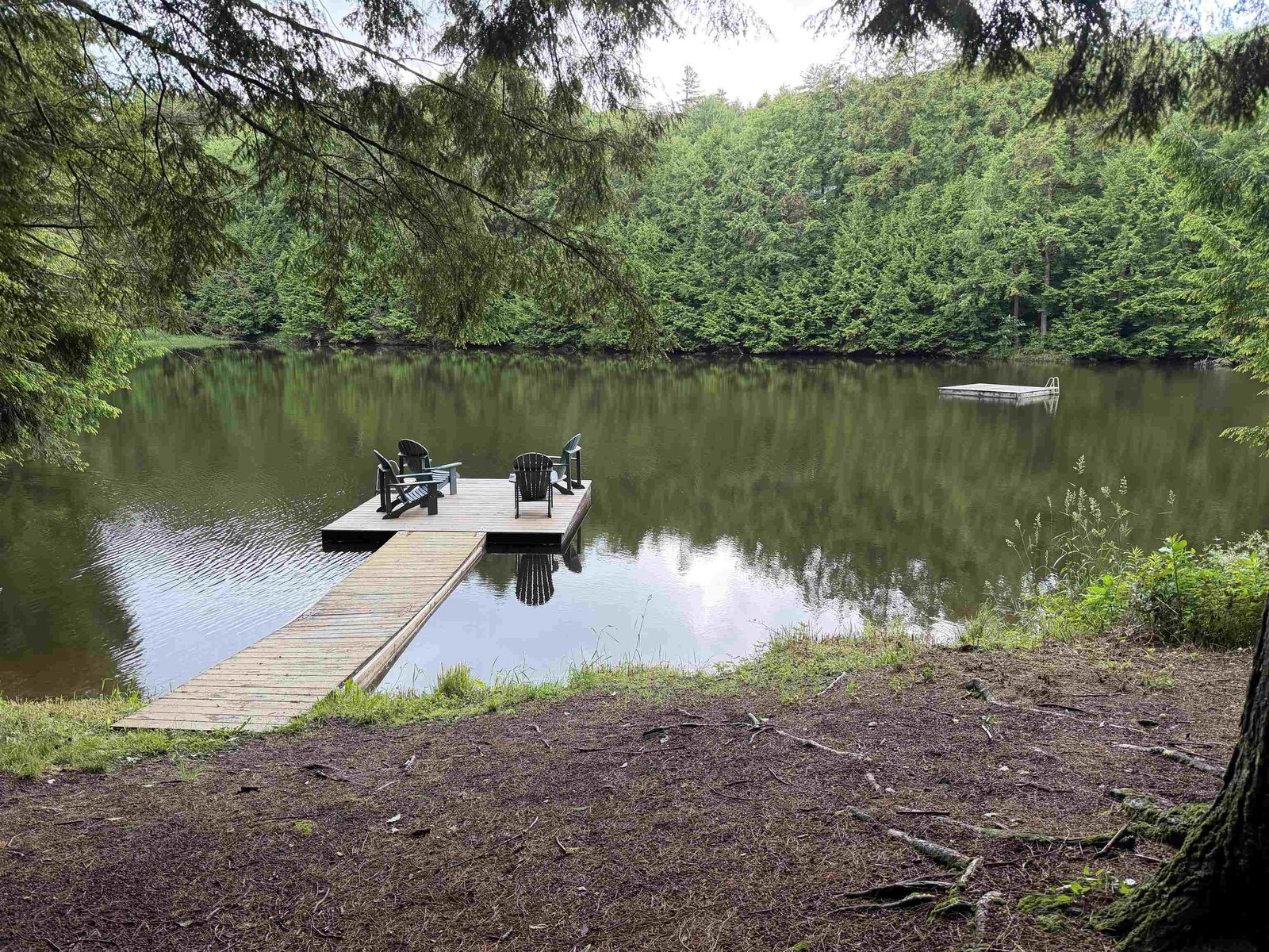 Community Pond