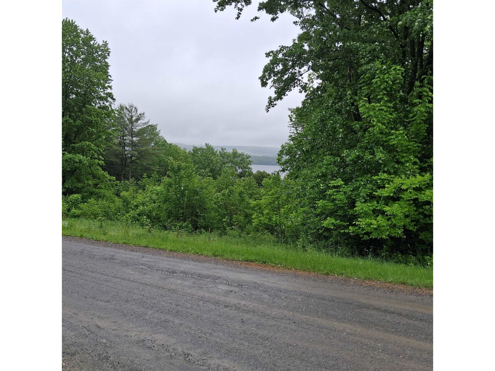 Lake Carmi from 93 Sandy Bay Road in June