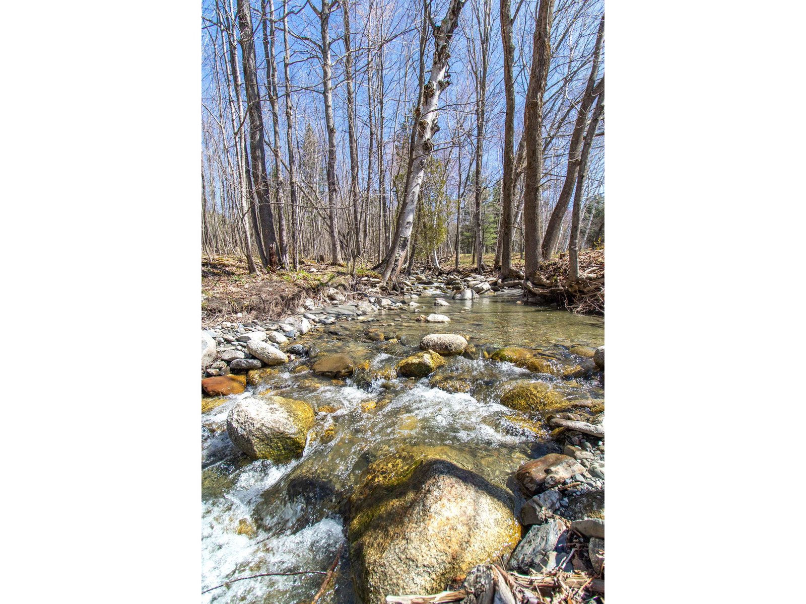 93 Stoney Brook Lane