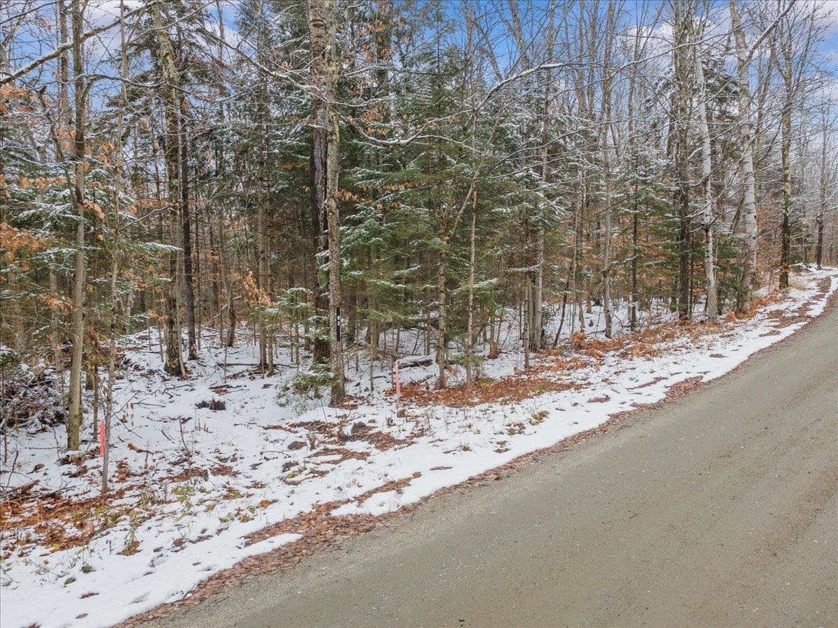 93 White Birch Road