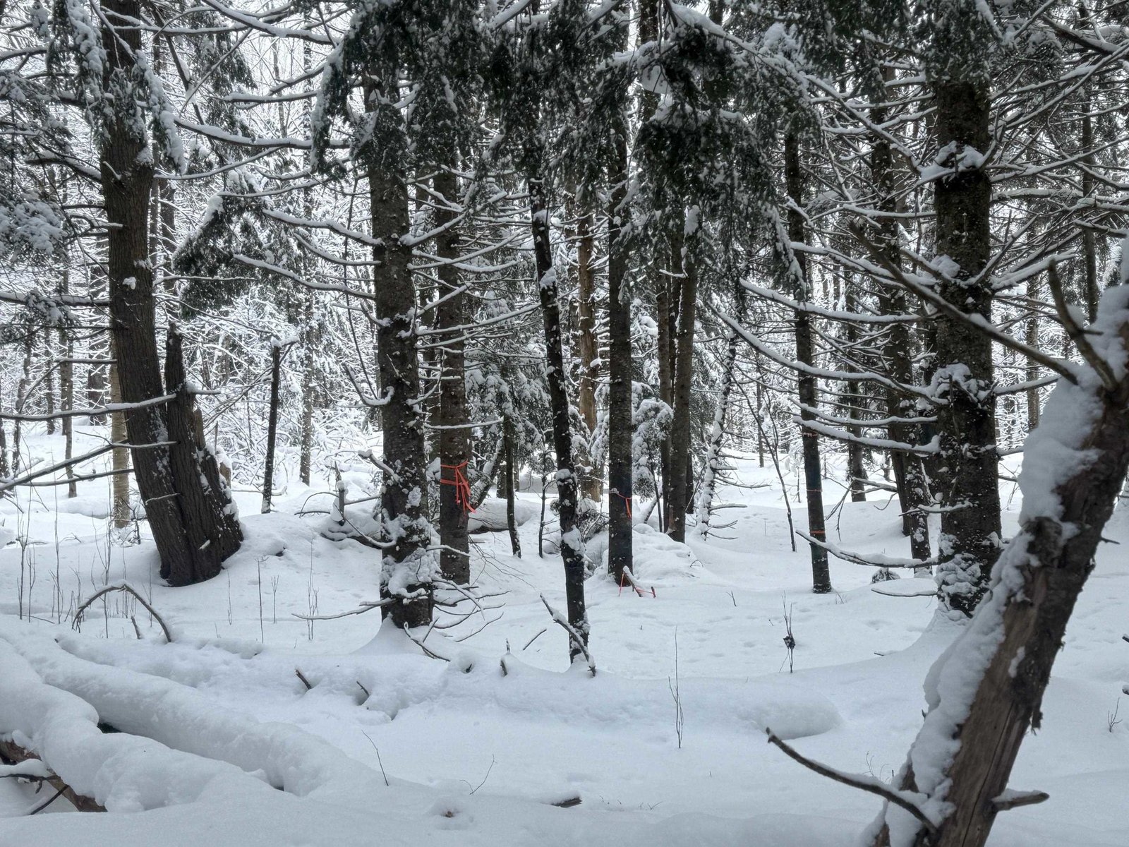Possible build site
