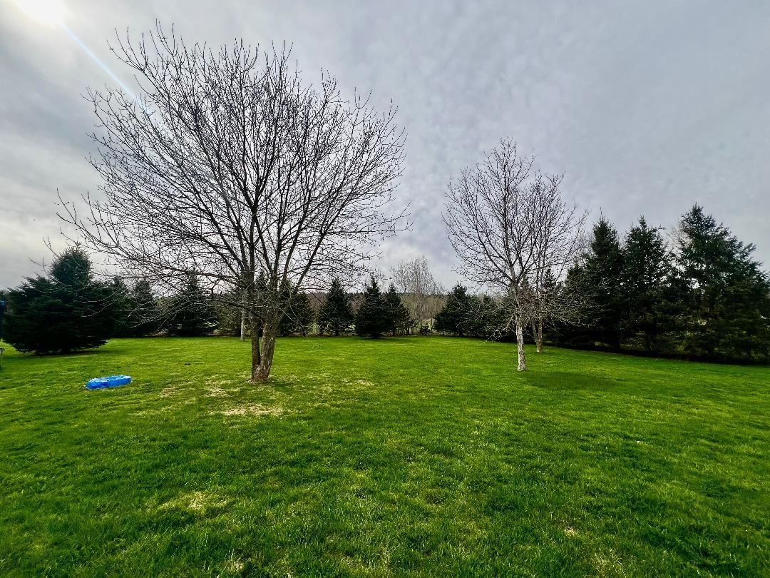 935 scott Road