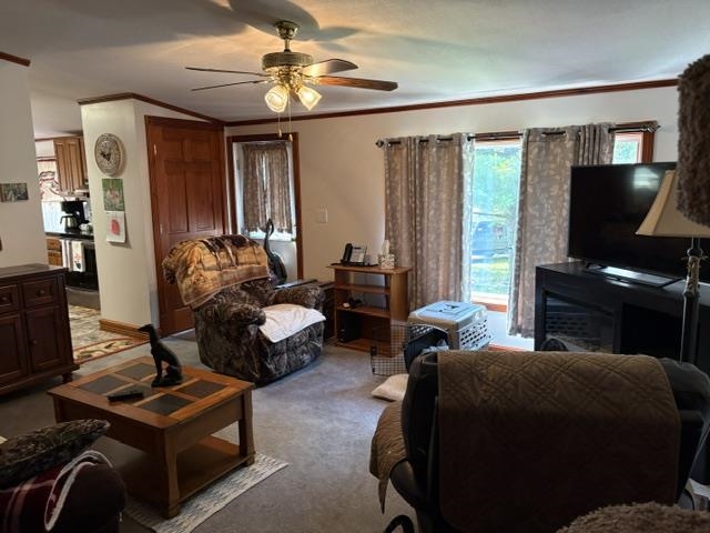 936 Cook Road