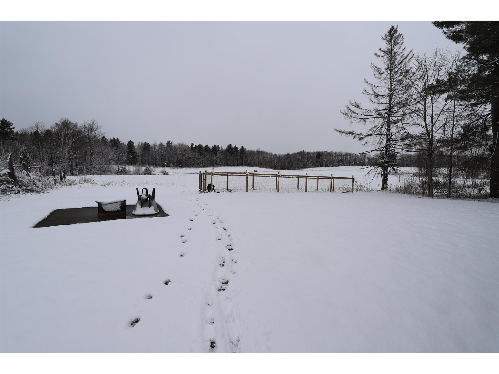 Spacious Back Lawn