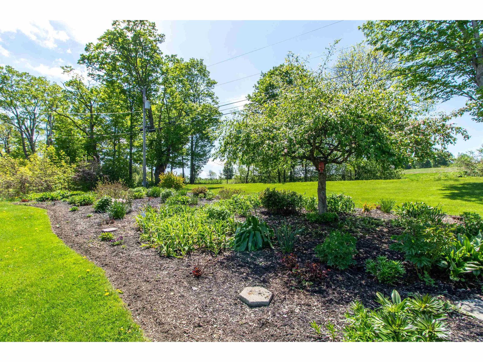 938 Stevens Road