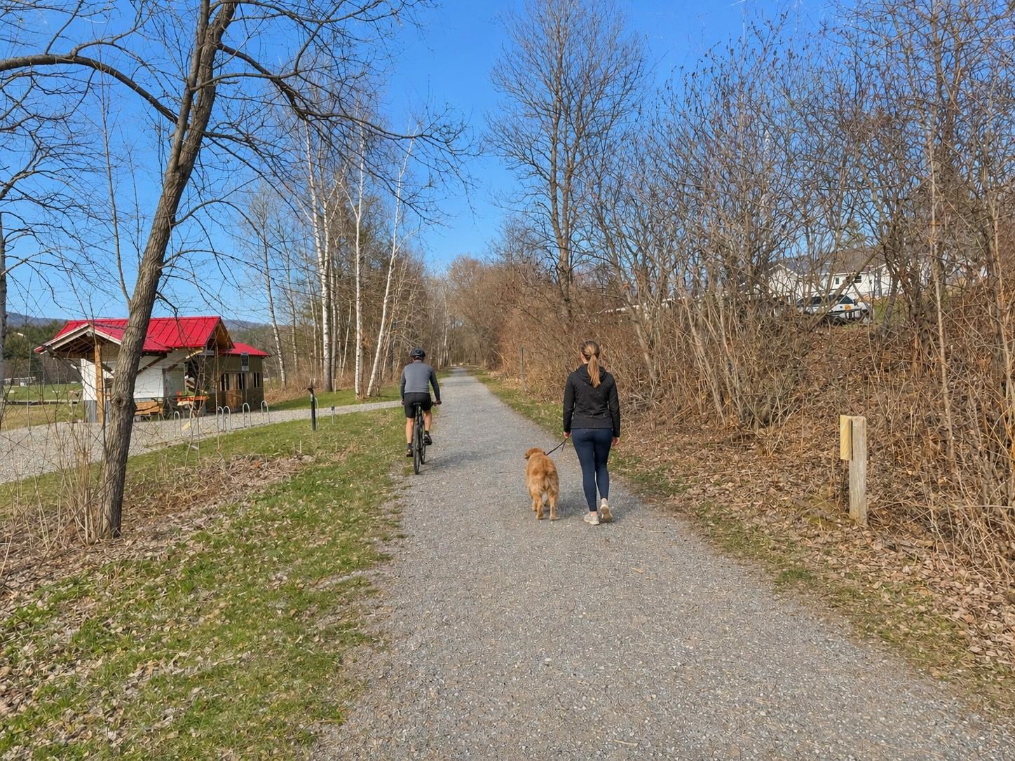 Lamoille Valley Rail Trail Near By