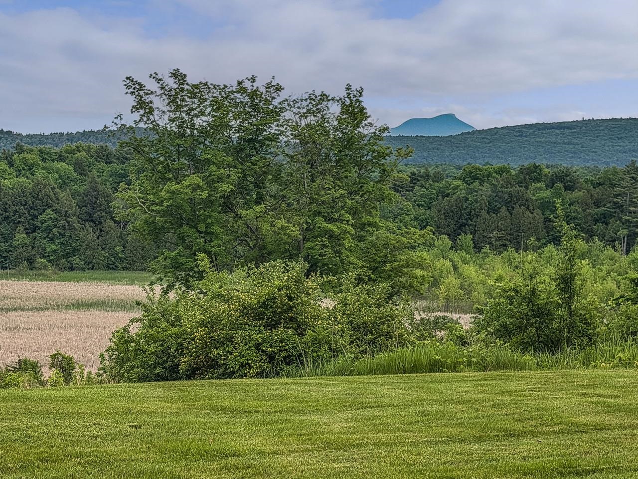 Green Mountain Views