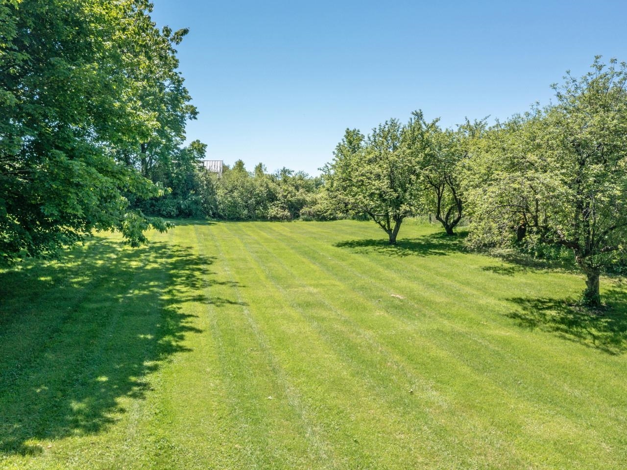 Lovely Trees and Yard