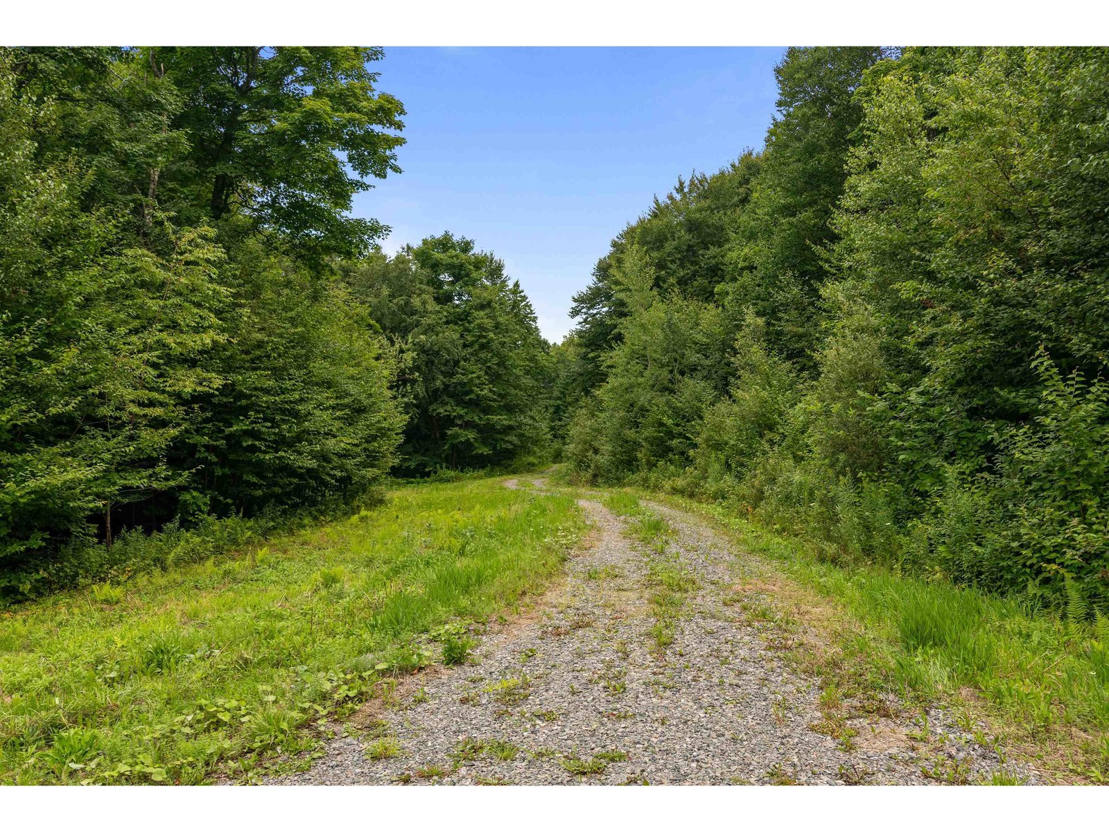 942 Deer Run Lane