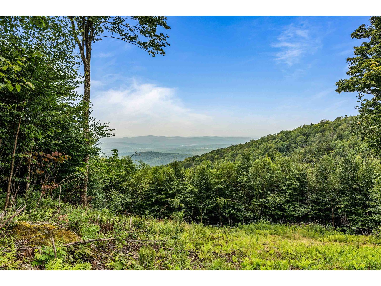 942 Deer Run Lane