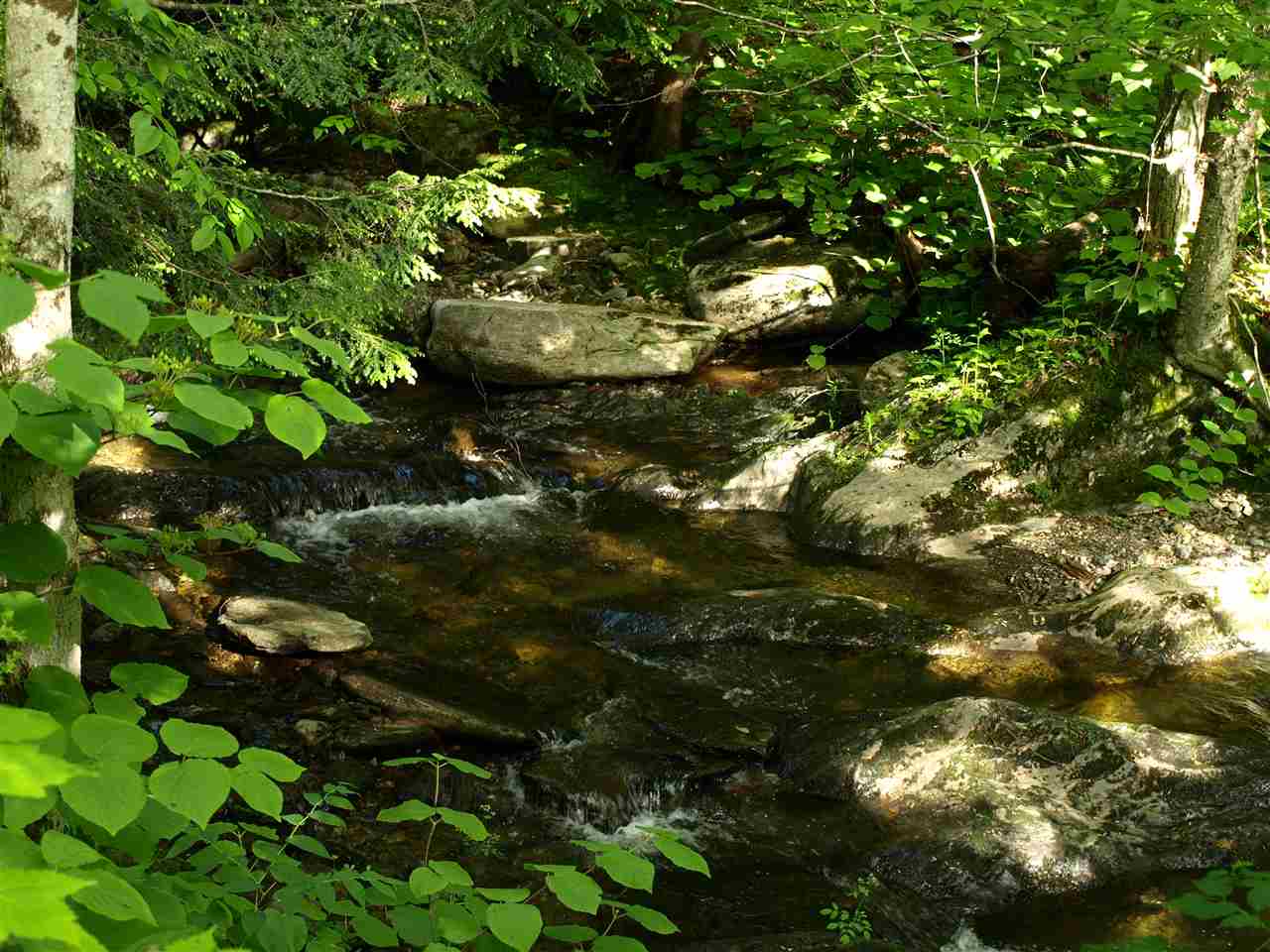 950 Stevens Mill Road