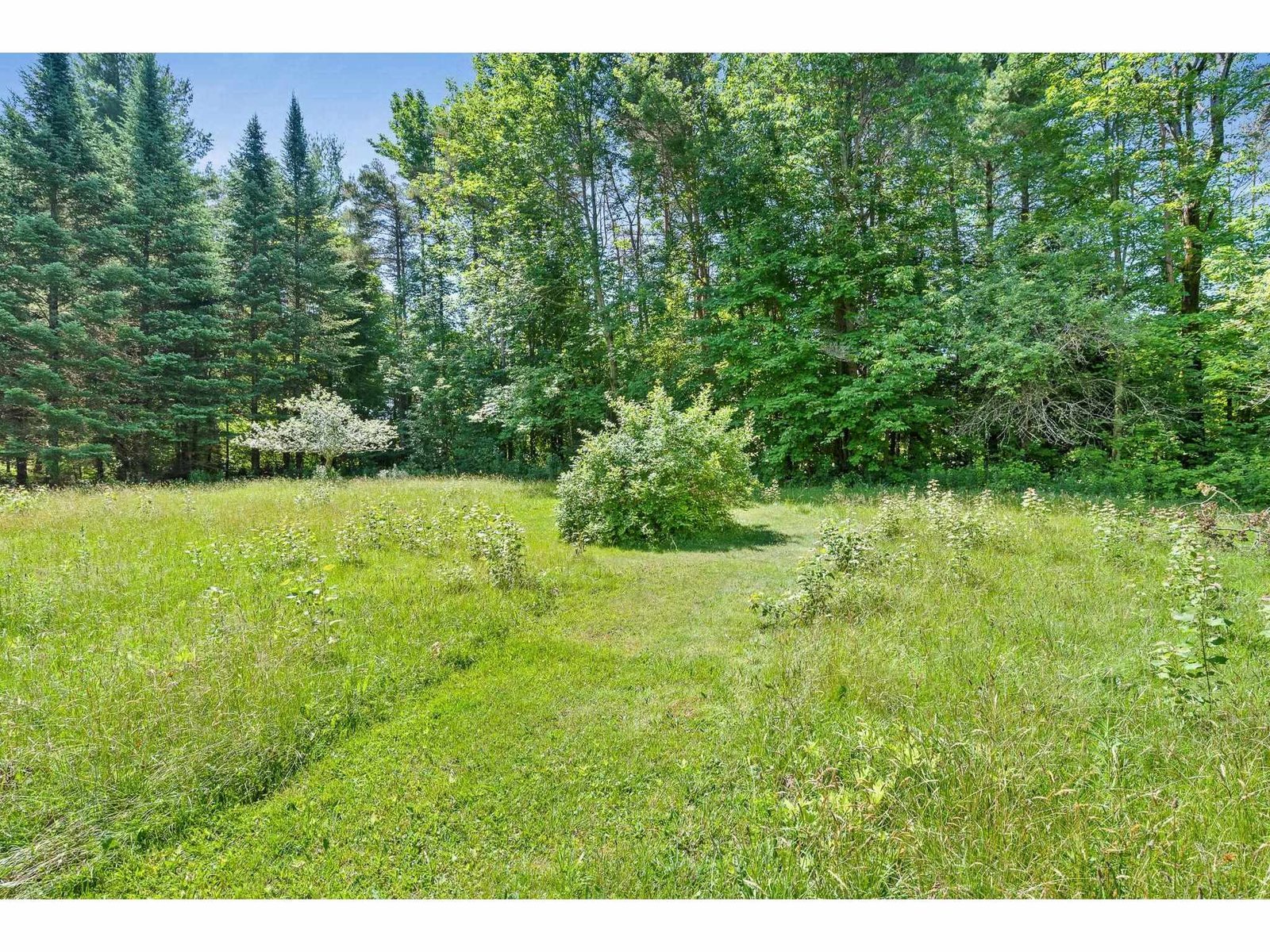 955 Scott Hill Road