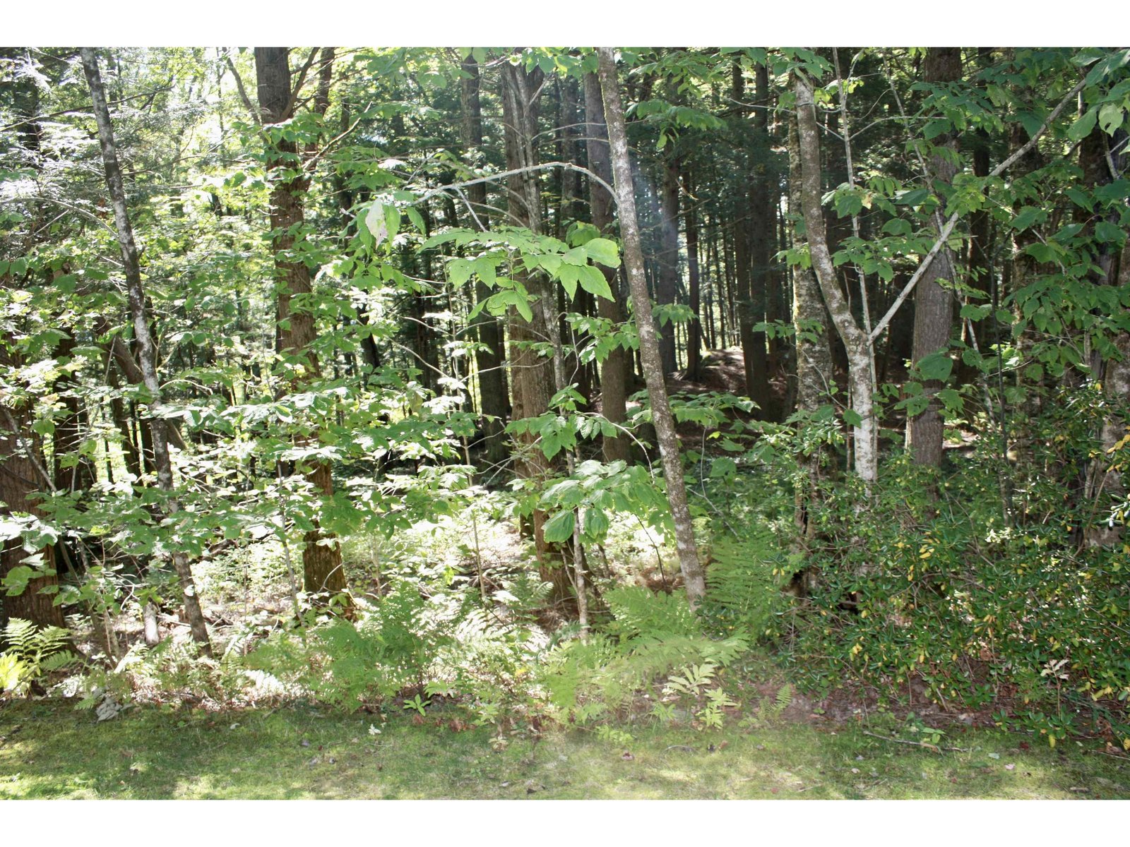 956 Butternut Hill Road, Unit E4