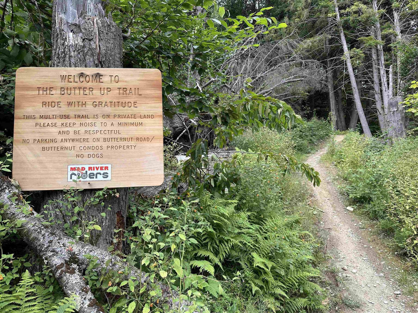 Multi-Use Trails