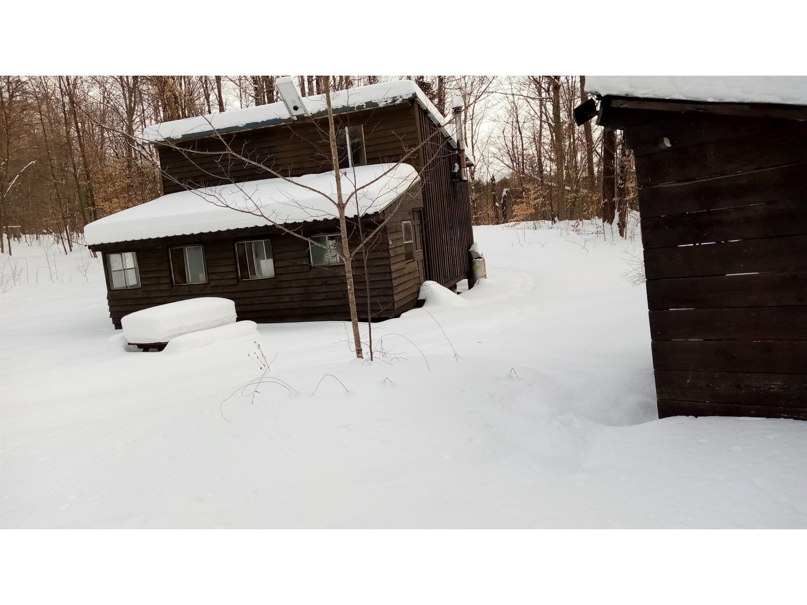 cabin and shed