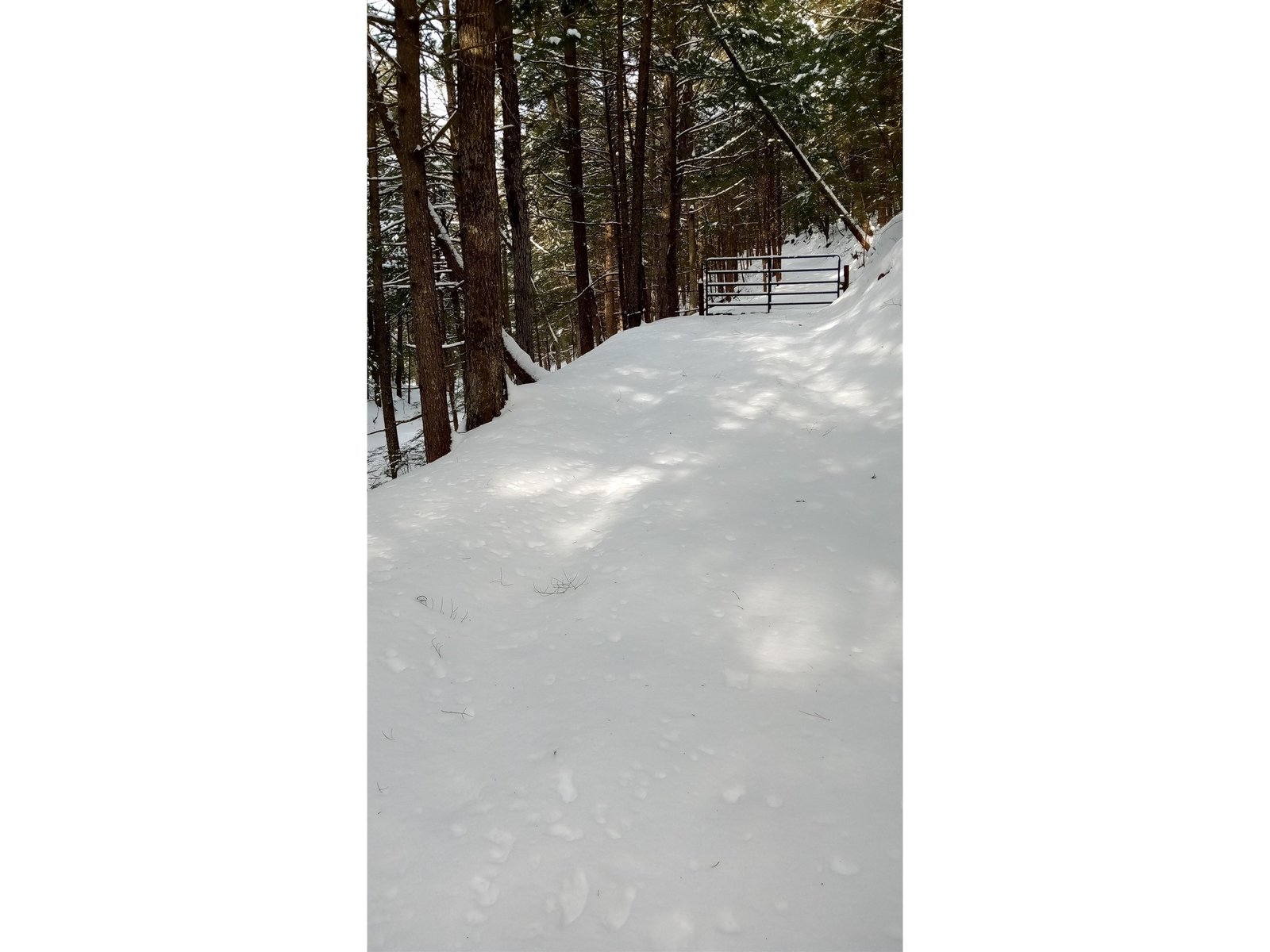 driveway gate off of Rt. 14