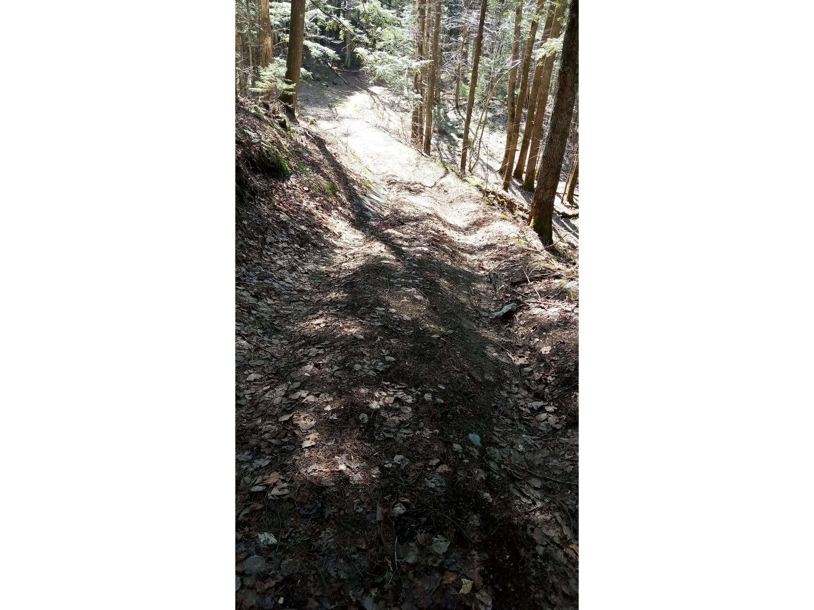coming back down-right trail