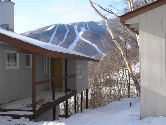 959 Spruce Peak