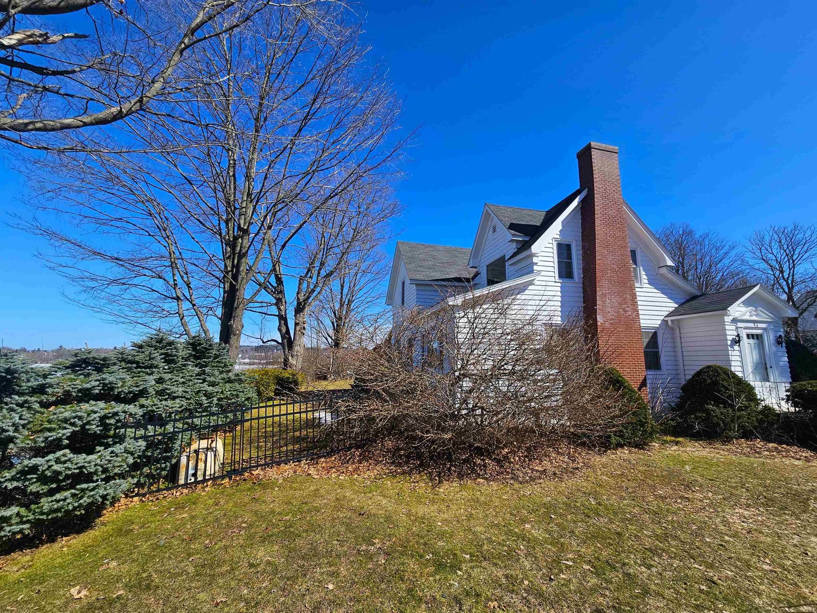 Back Lawn