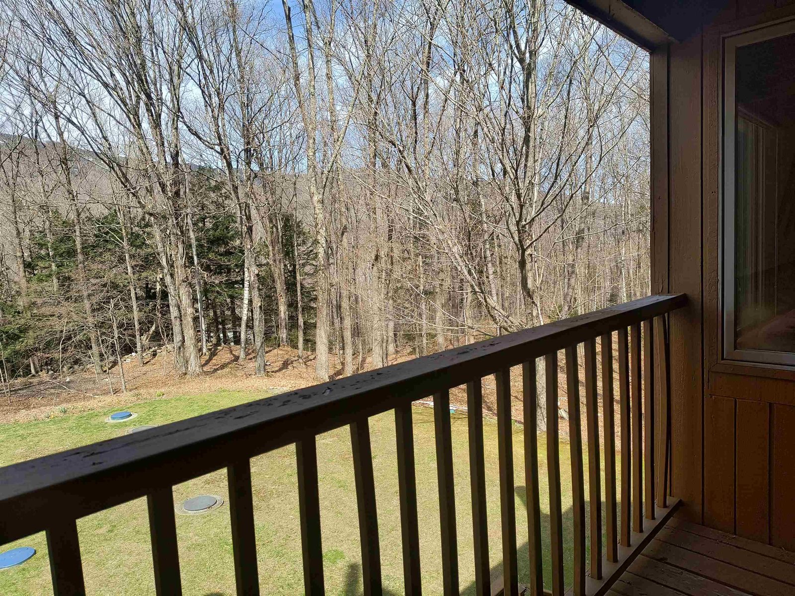 Deck overlooking wooded setting