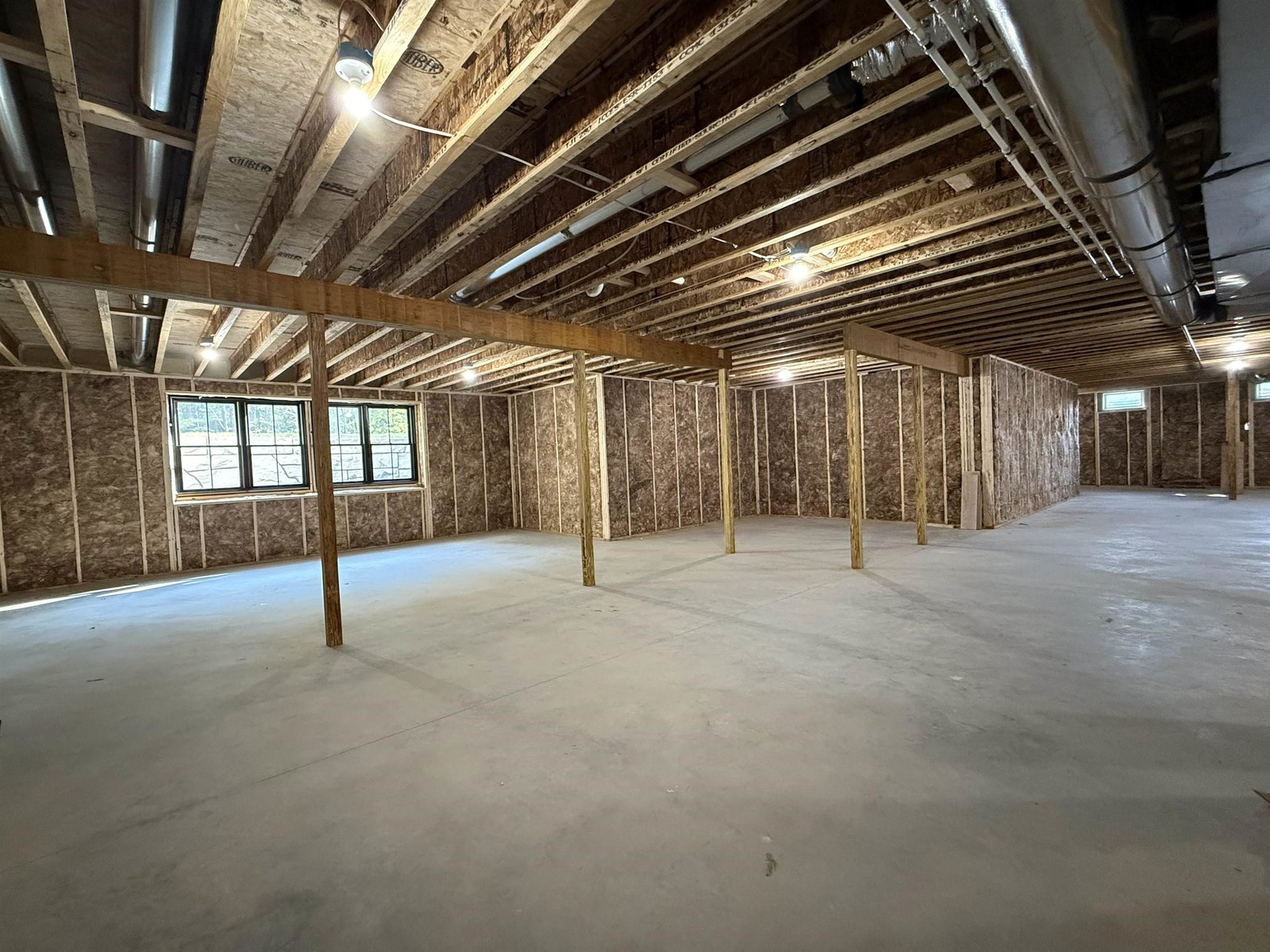 Enormous Basement flex space