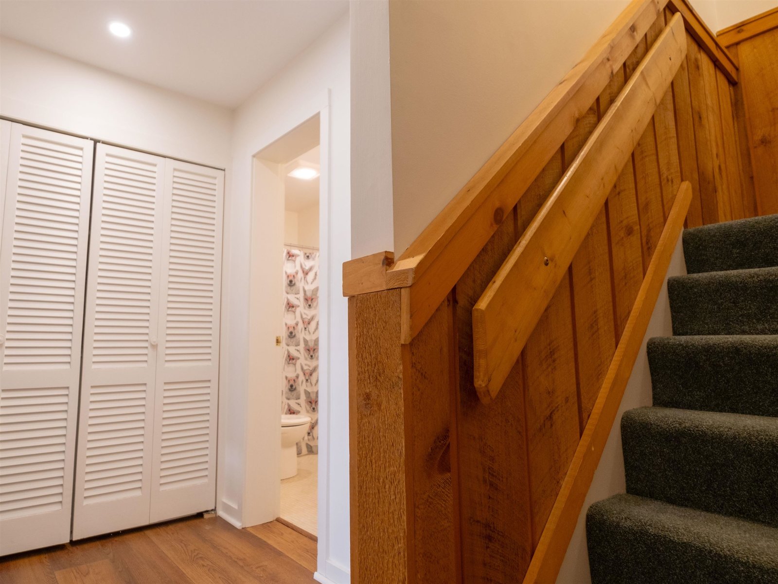 Lower Level - Laundry Closet