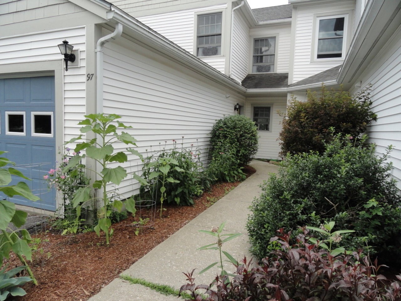 97 Saybrook Road