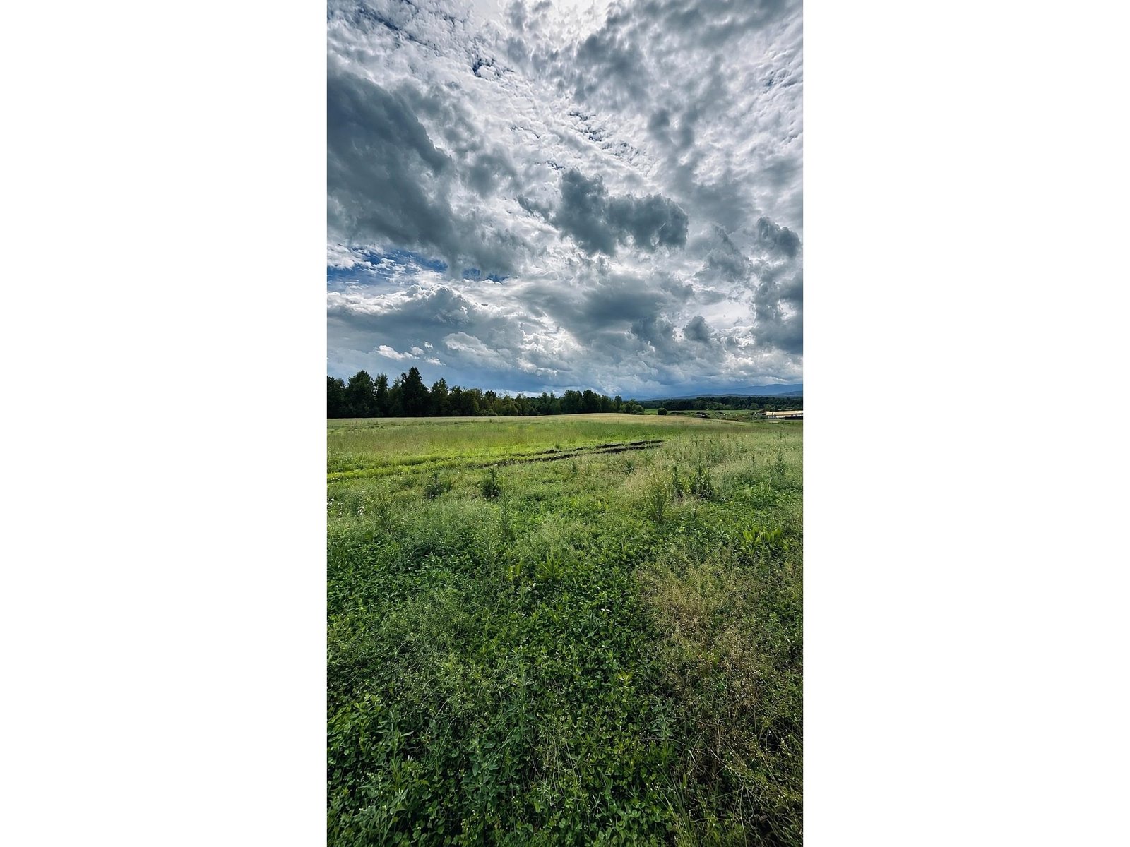 972-A Fitzgerald Road