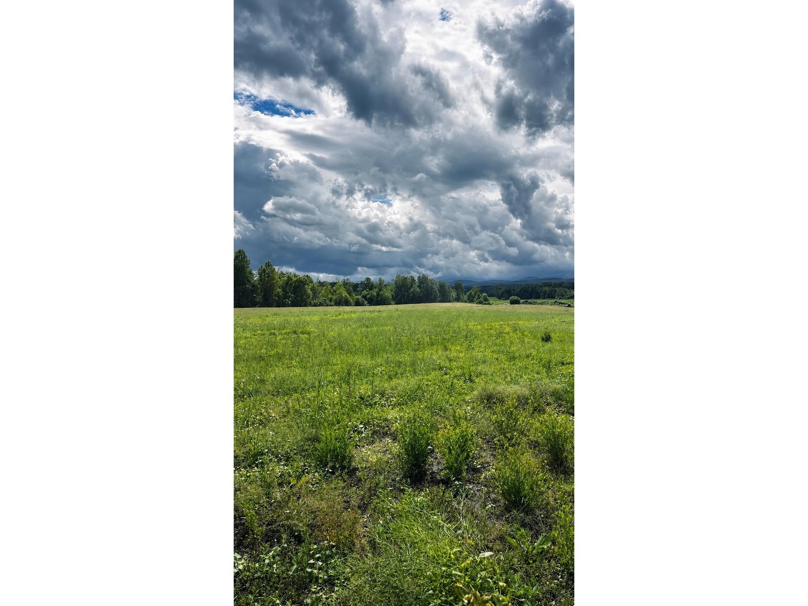 972-A Fitzgerald Road
