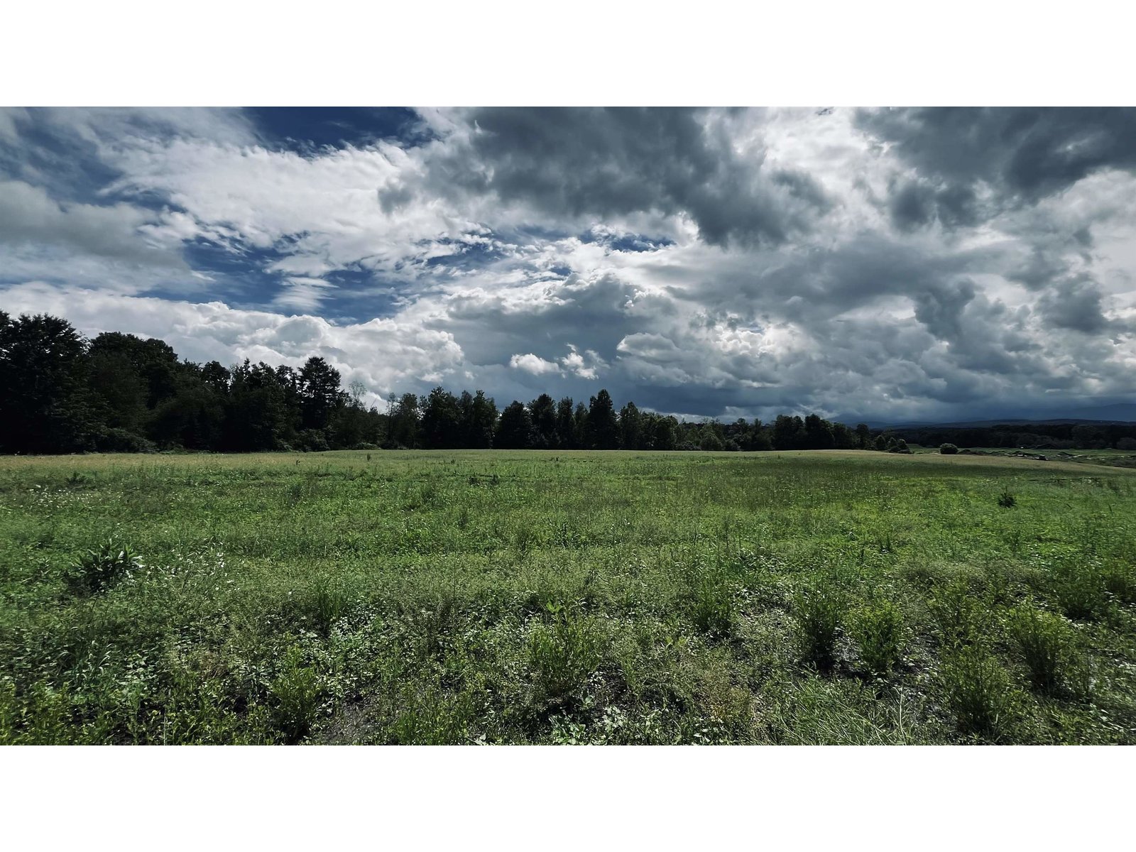 972-A Fitzgerald Road