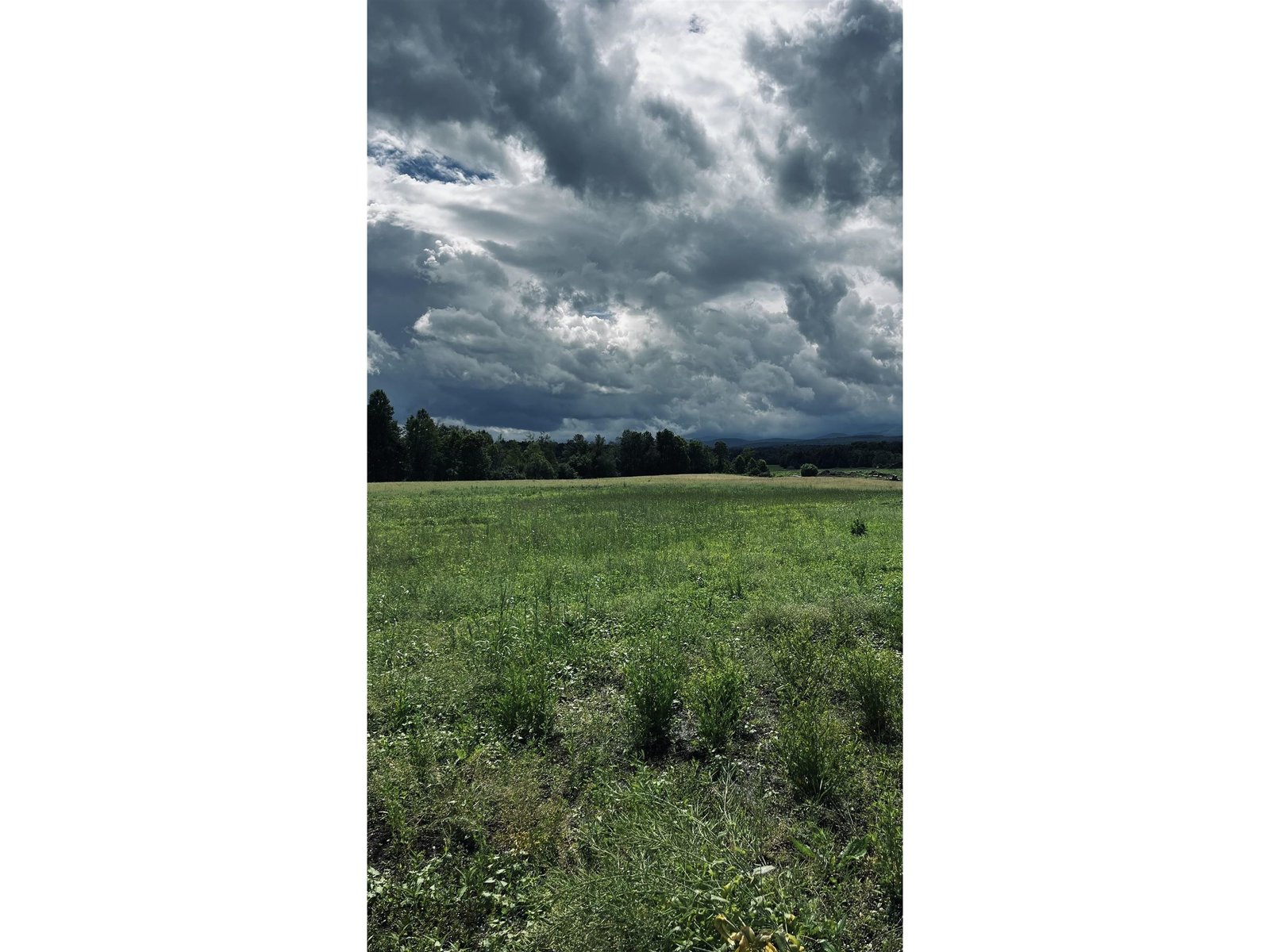 972-A Fitzgerald Road