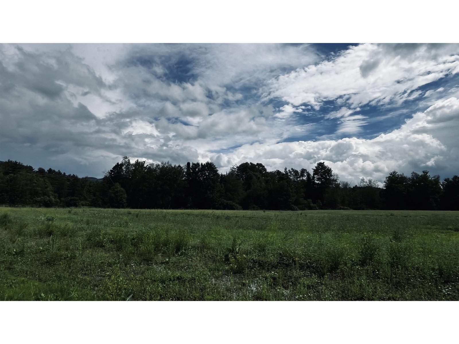 972-A Fitzgerald Road