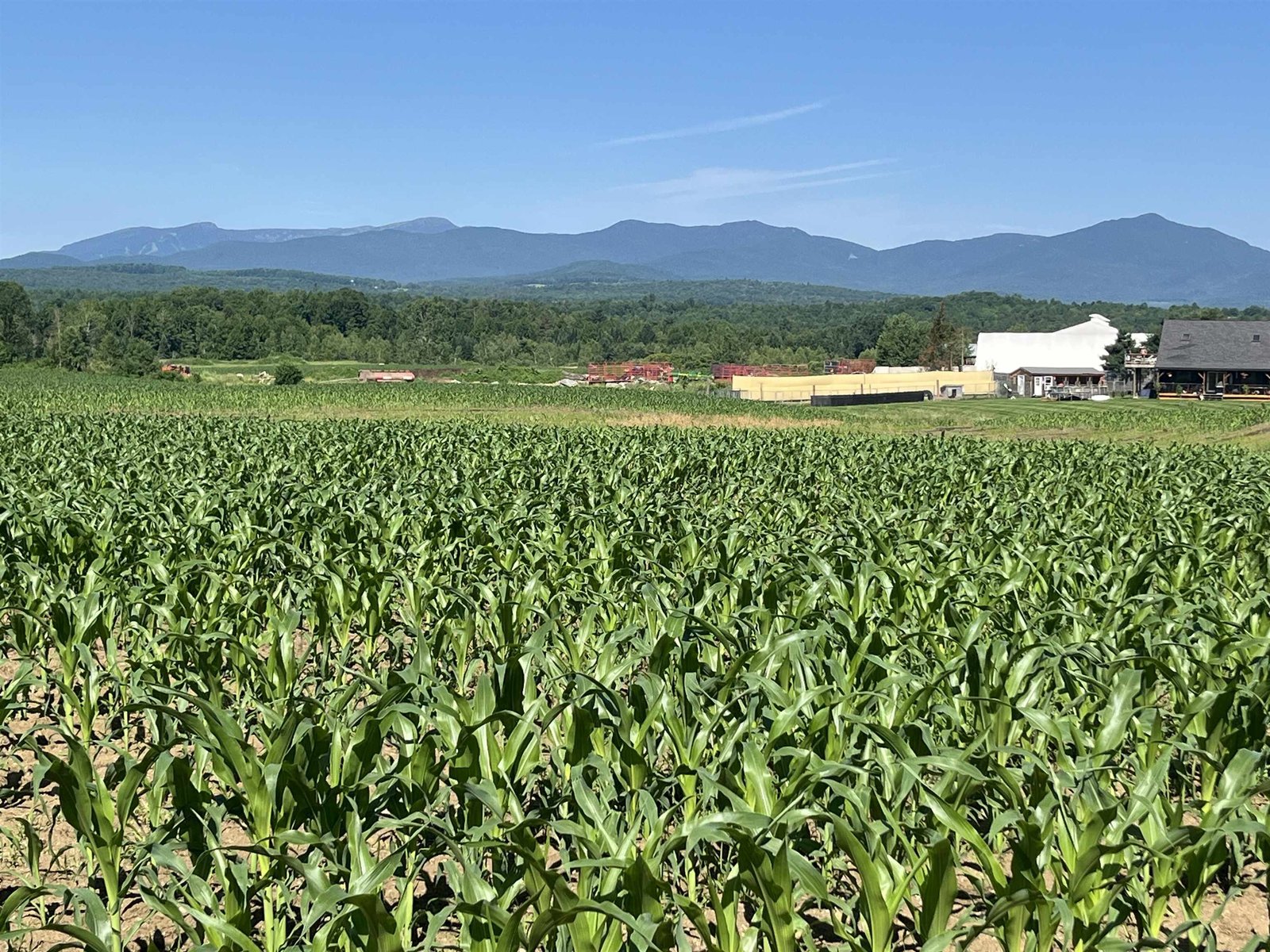 Huge Green Mtn views from northern property corner looking west