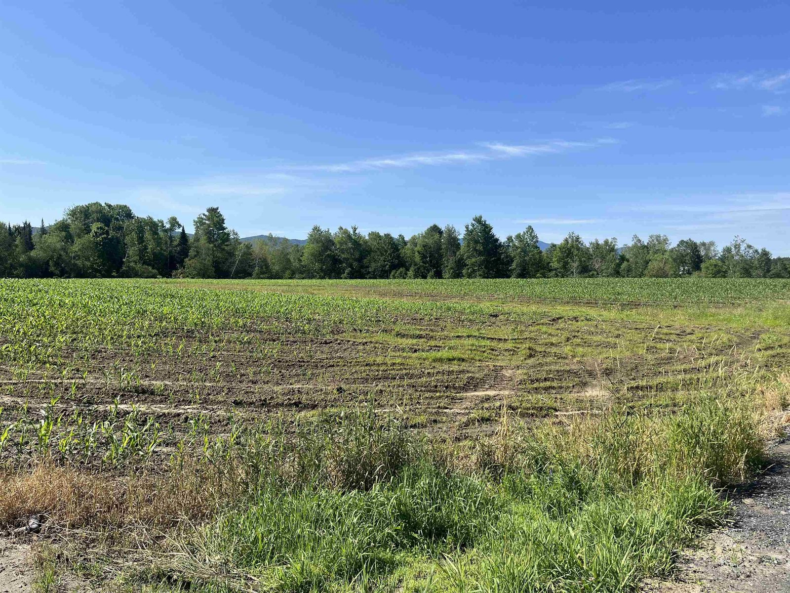 View from northern corner of property looking south