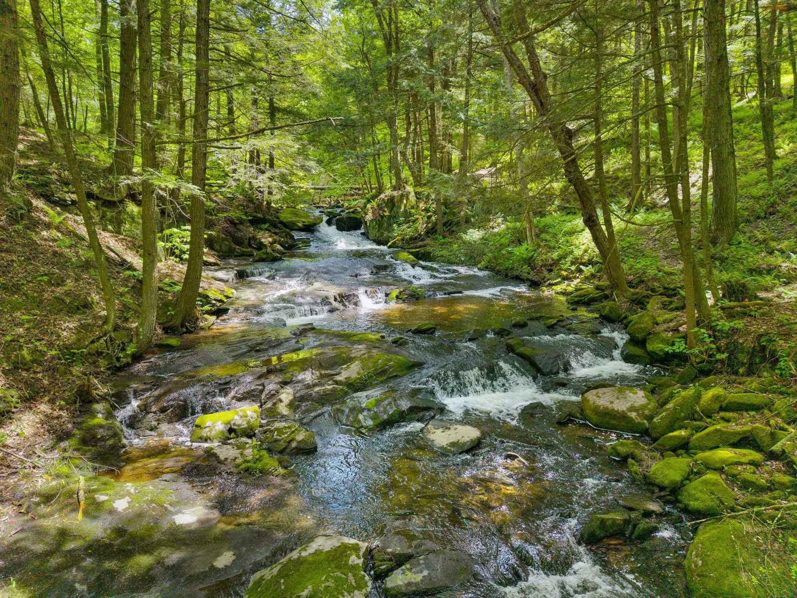 Waterfall & Swimming Hole