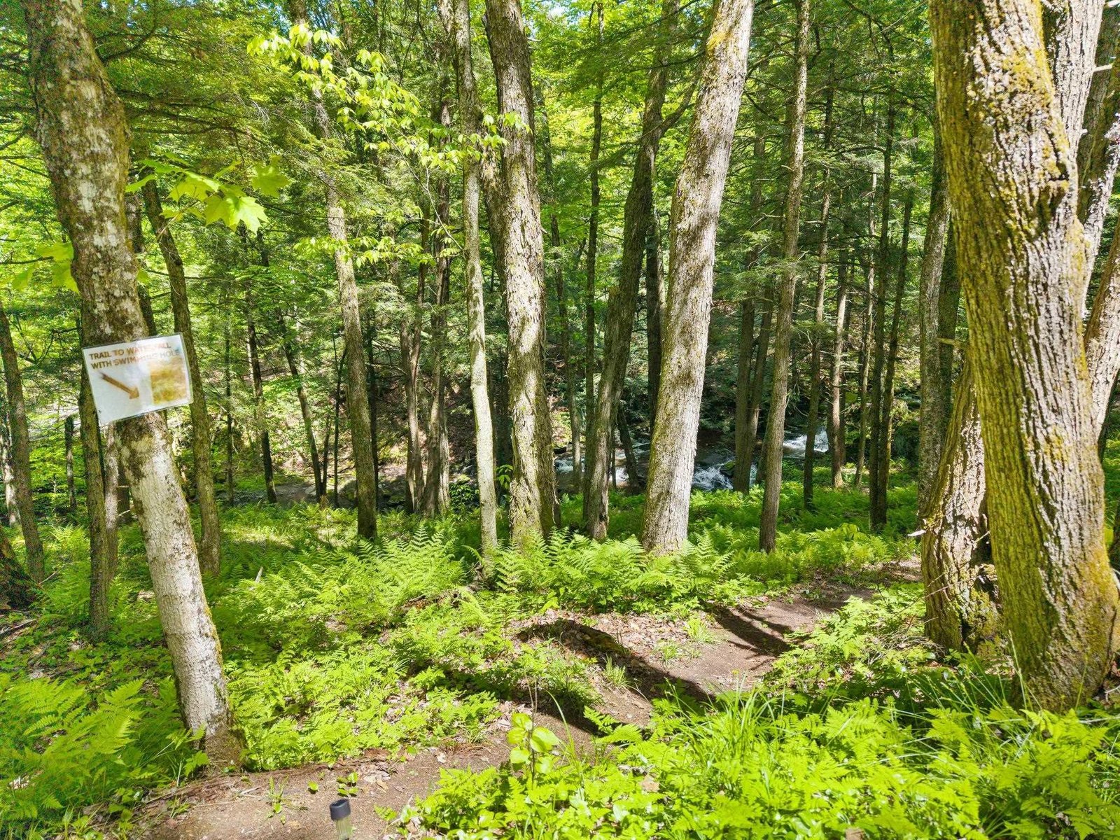 Pathway to Brook
