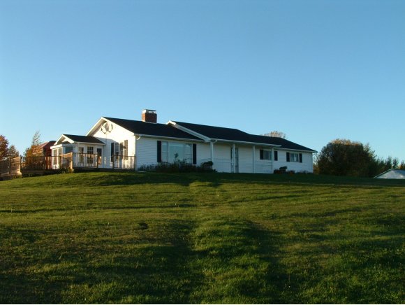 98 Island Meadows
